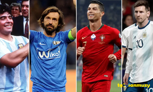 发现新葡的京集团